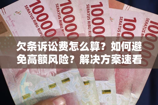 北京欠条诉讼费怎么算？如何避免高额风险？解决方案速看！